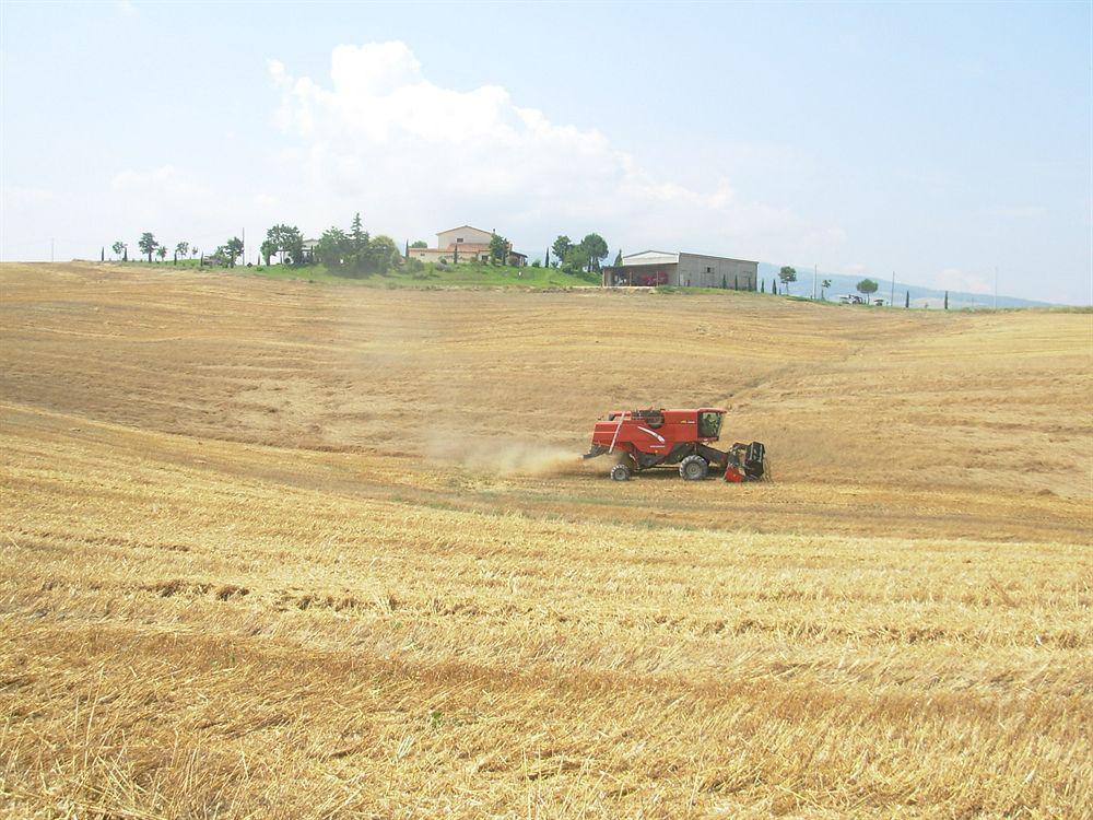 Agriturismo Sant' Ansano Pensionat Castiglione dʼOrcia Exteriör bild